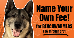 Adopt a benchwarmer!